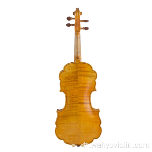 Jujube Parts Laciness Violon